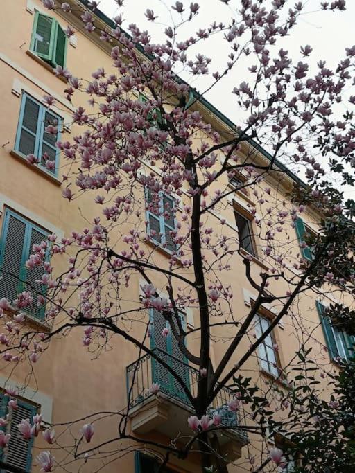 מילאנו Da Rosa E Pier - Charming Central Apartment מראה חיצוני תמונה